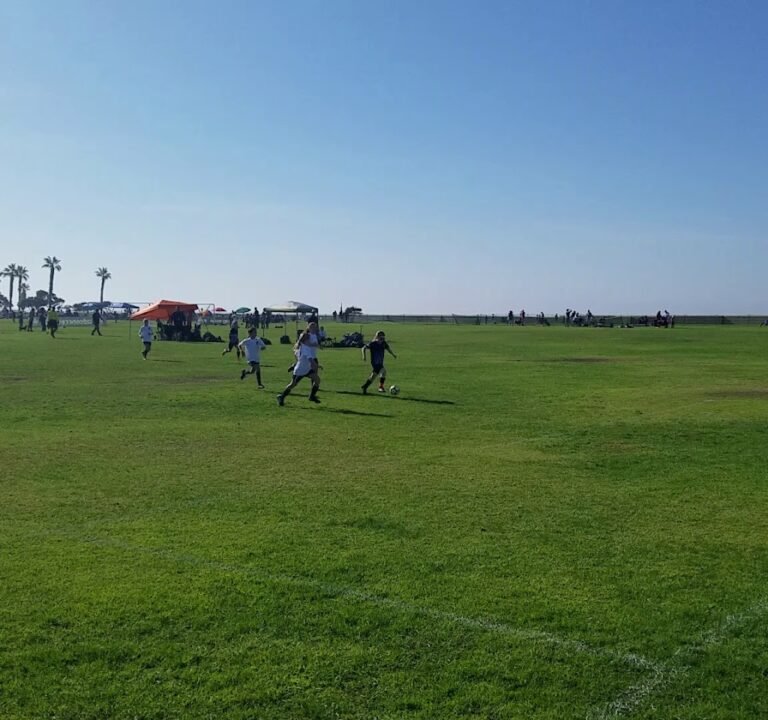 Soccer Field image 4