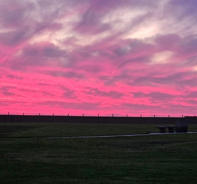 Soccer Field image 3