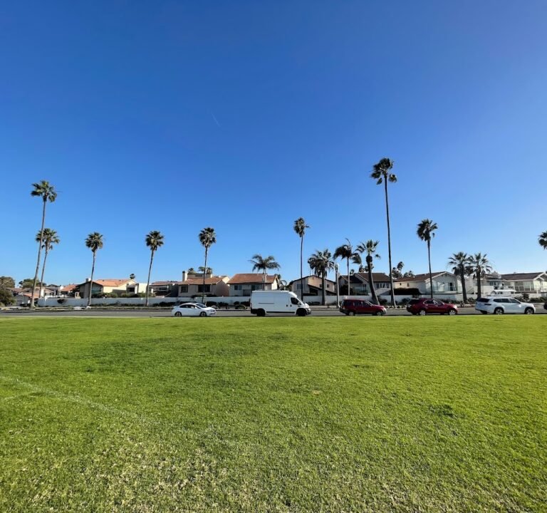 Soccer Field image 2