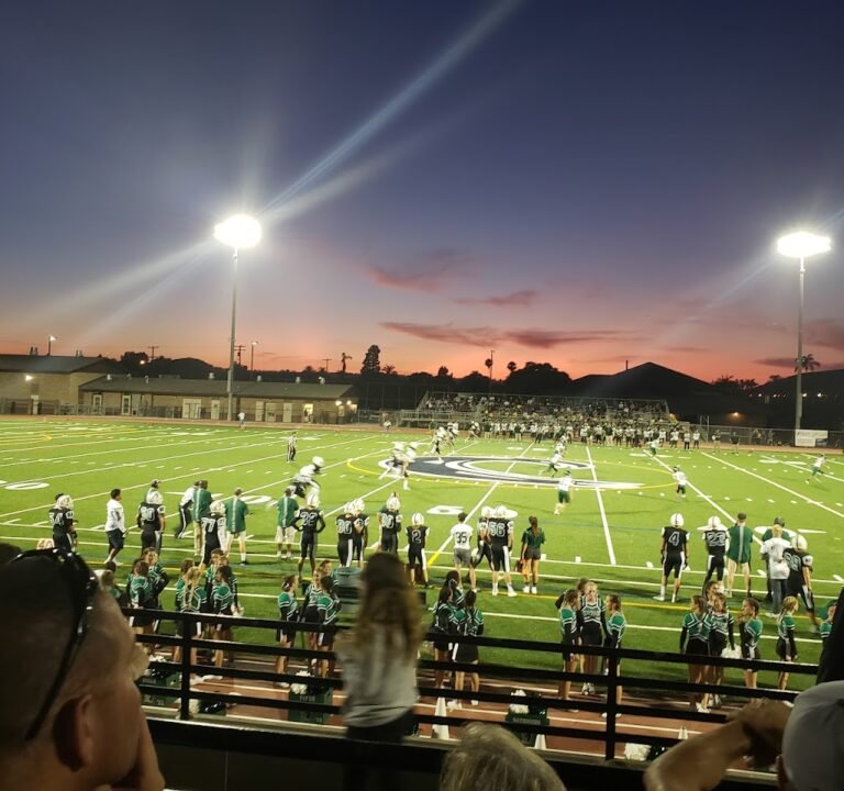 Soccer Field image 2