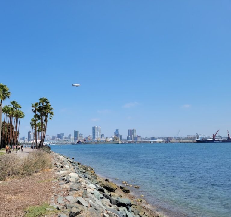 Soccer Field image 2