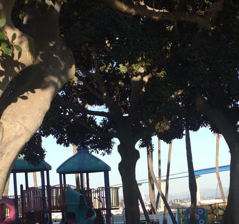 Soccer Field image 3