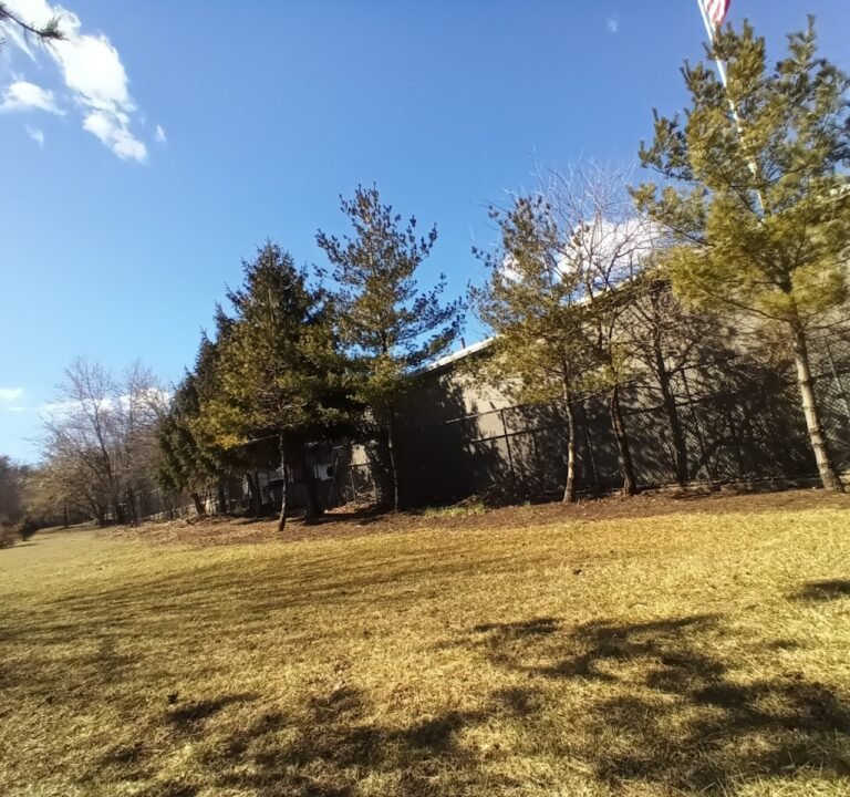 Soccer Field image 3