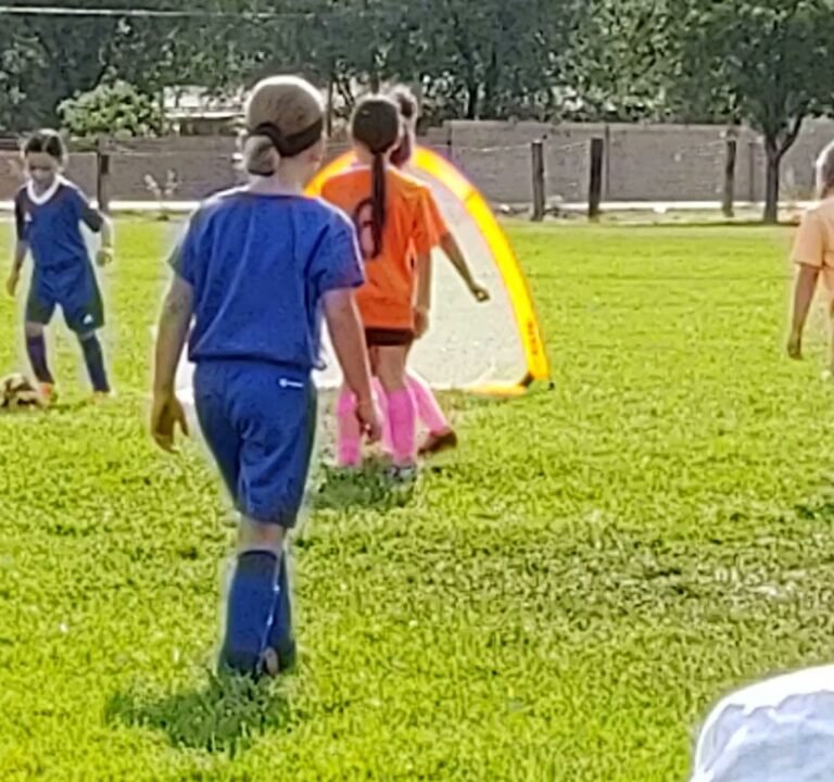 Soccer Field image 3