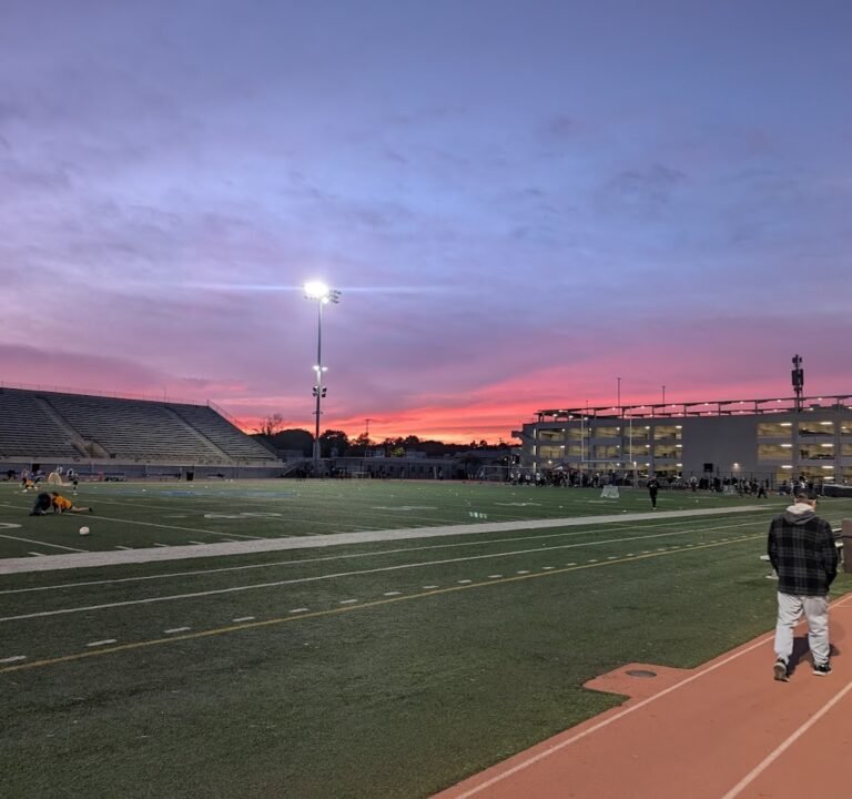 Soccer Field image 3
