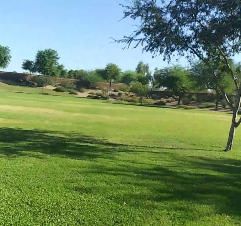 Soccer Field image 4