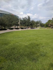 Soccer Field image 1