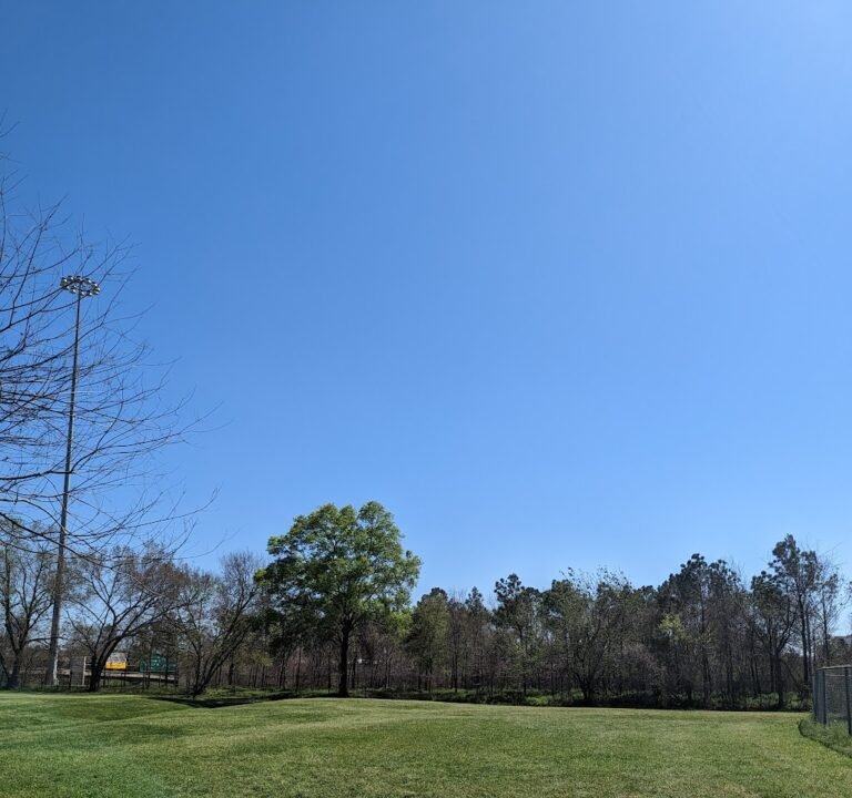 Soccer Field image 2