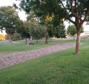 Soccer Field image 2