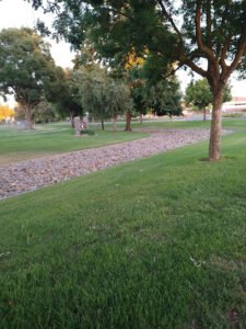 Soccer Field image 1
