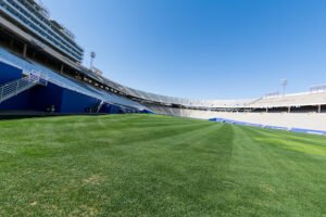 Soccer Field image 1