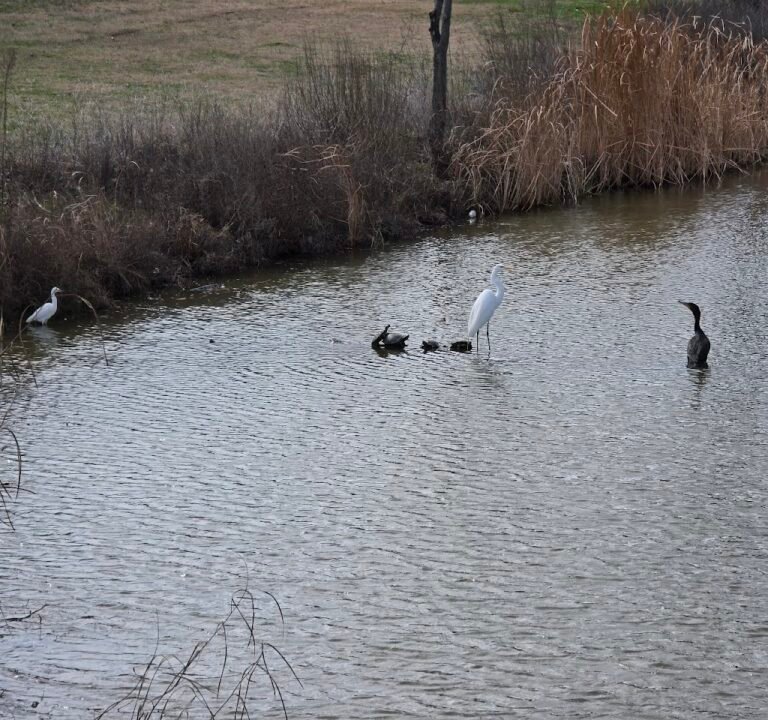 Soccer Field image 3
