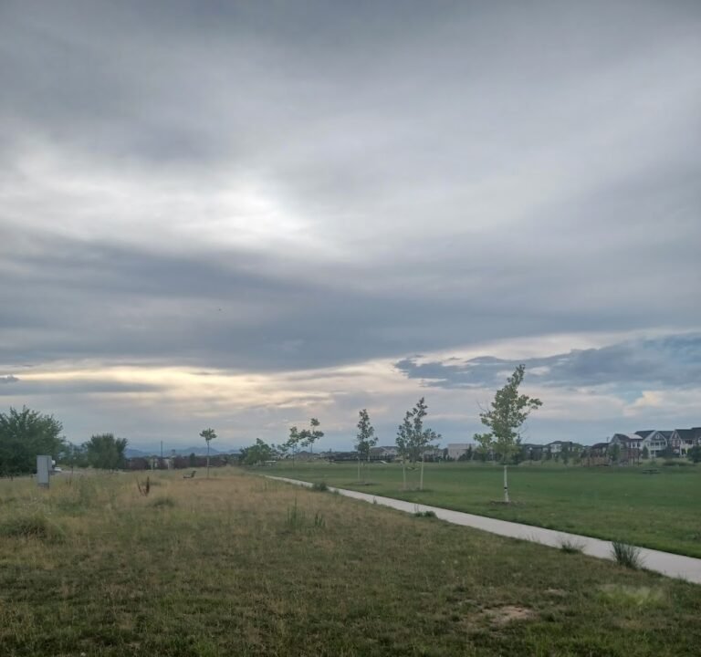 Soccer Field image 2