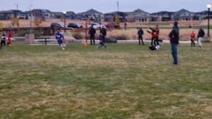 Soccer Field image 1