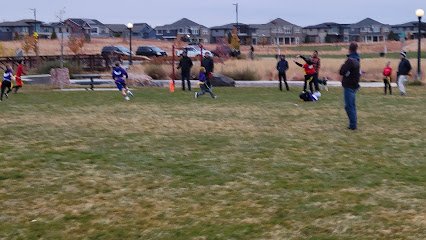 Soccer Field image 1
