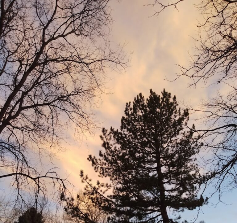 Soccer Field image 3