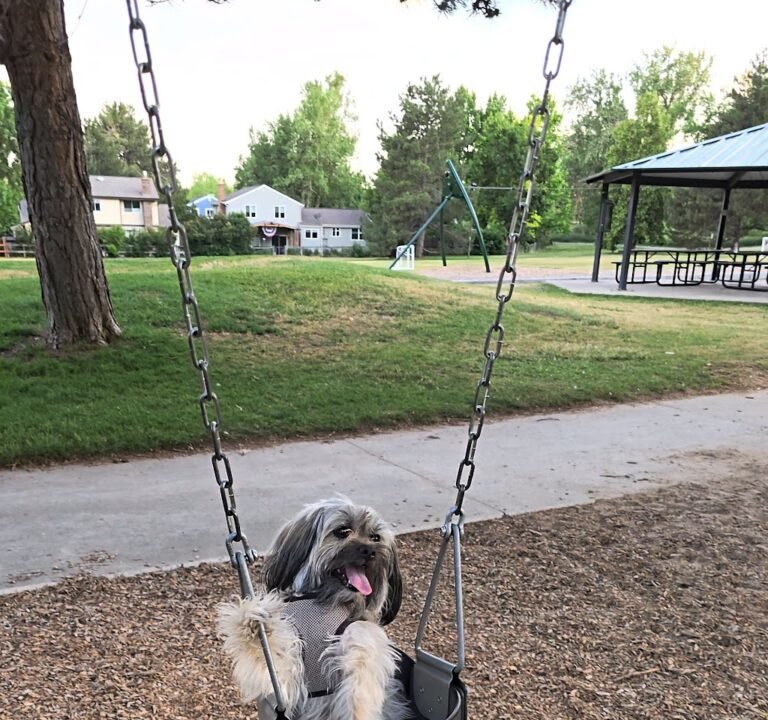 Soccer Field image 4