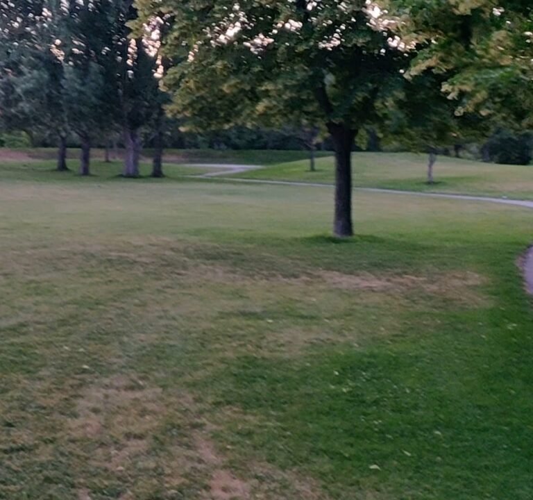 Soccer Field image 3