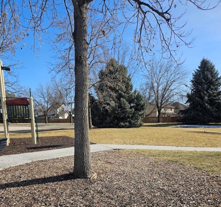 Soccer Field image 3