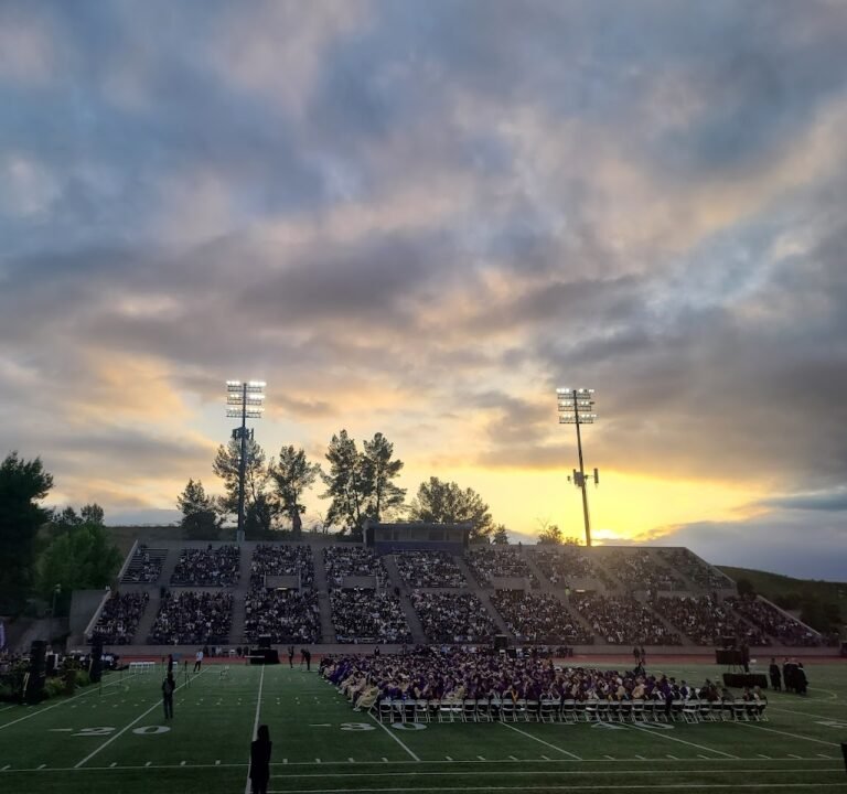 Soccer Field image 2