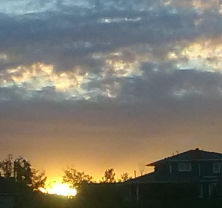 Soccer Field image 3