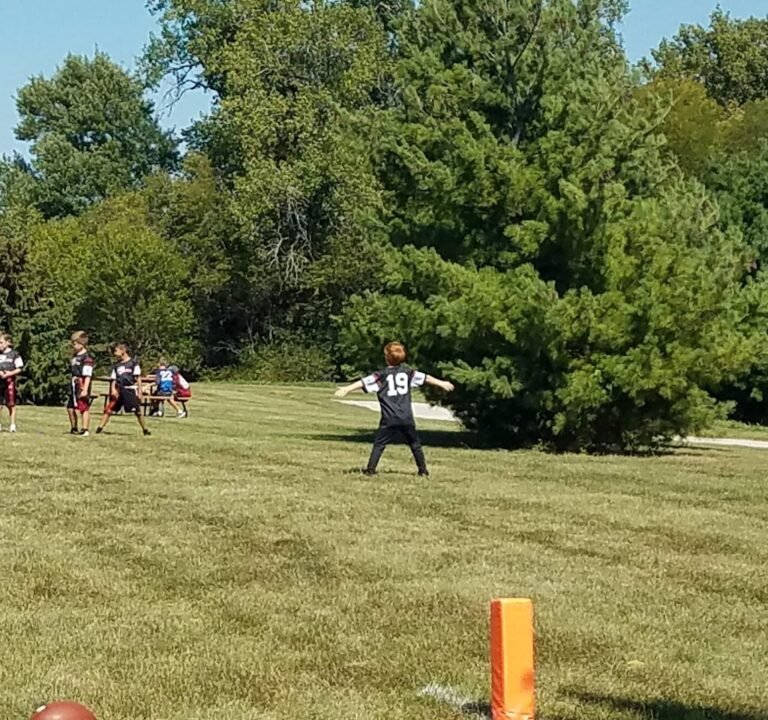 Soccer Field image 2