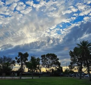 Soccer Field image 3