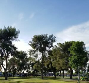 Soccer Field image 4