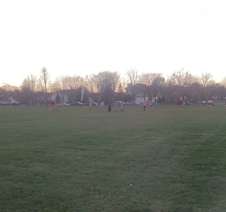 Soccer Field image 4