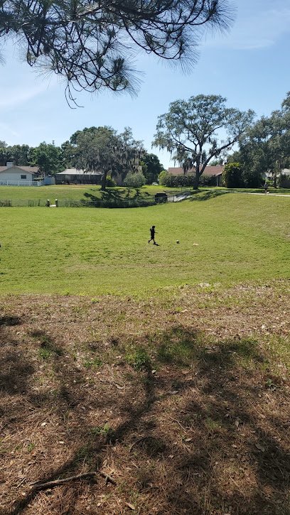 Soccer Field image 1