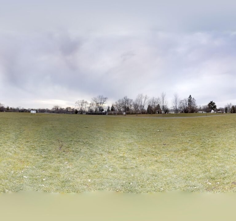 Soccer Field image 3