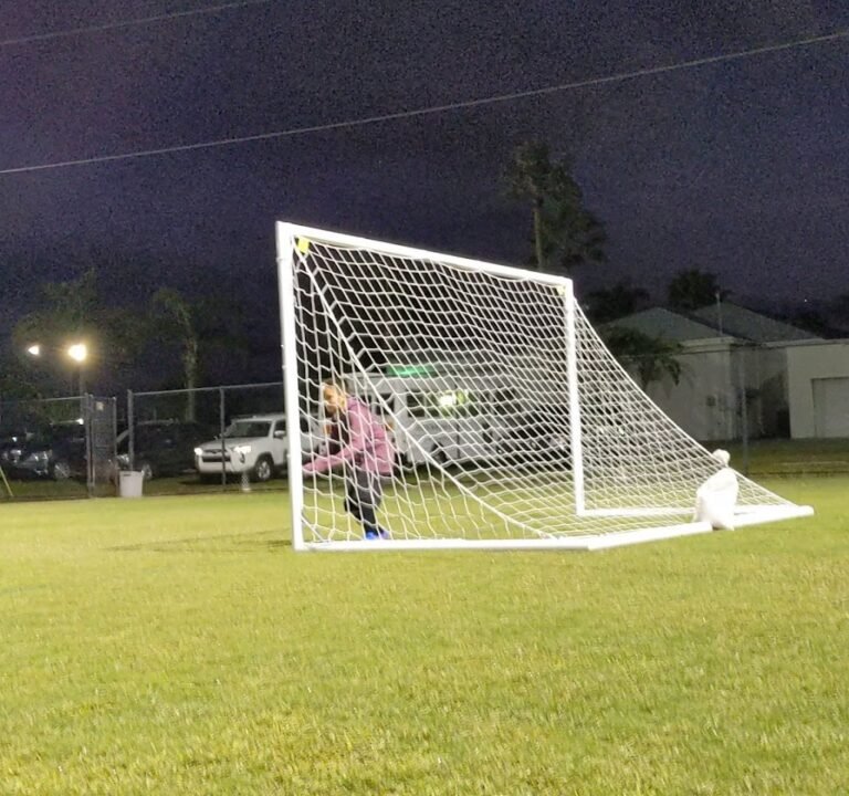 Soccer Field image 2