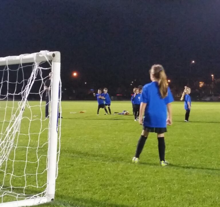 Soccer Field image 3