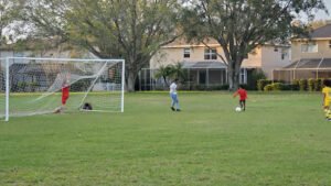 Soccer Field image 1