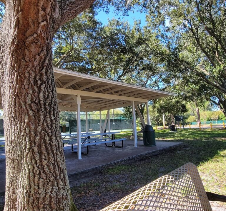 Soccer Field image 2