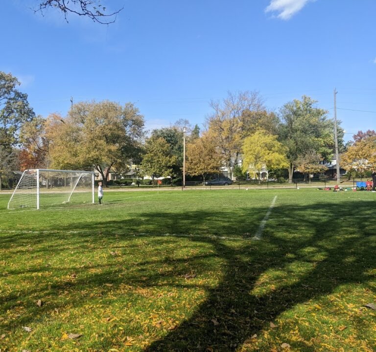 Soccer Field image 3