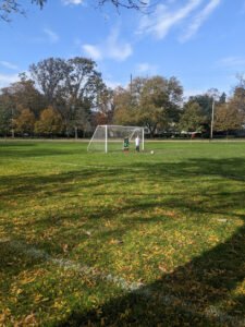 Soccer Field image 1