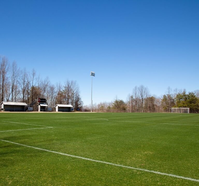 Soccer Field image 2