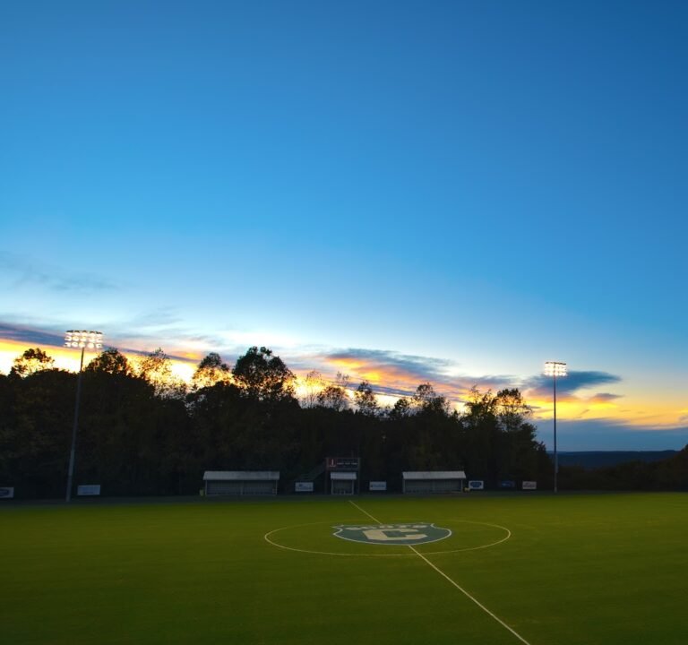 Soccer Field image 3