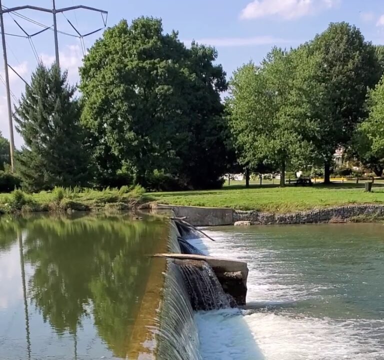 Soccer Field image 4