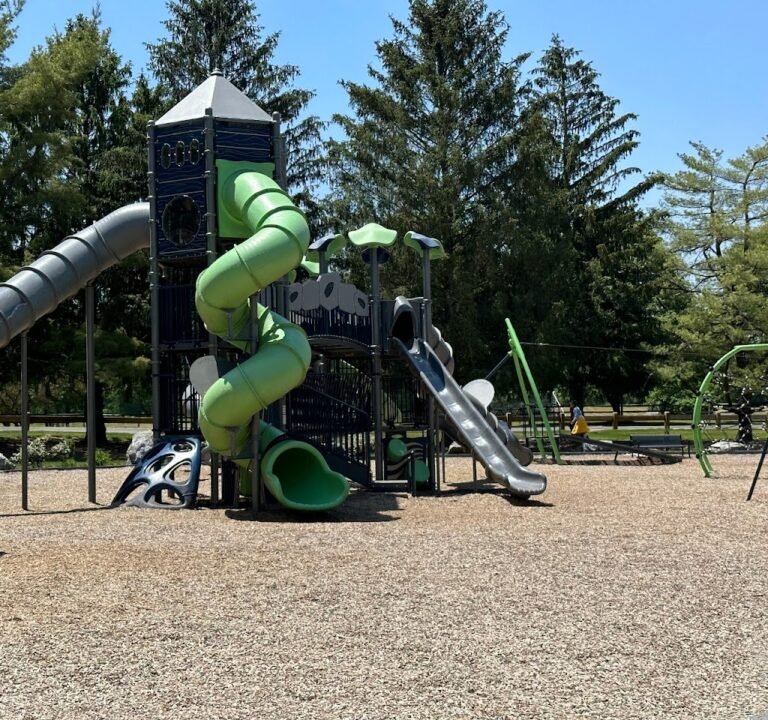 Soccer Field image 2