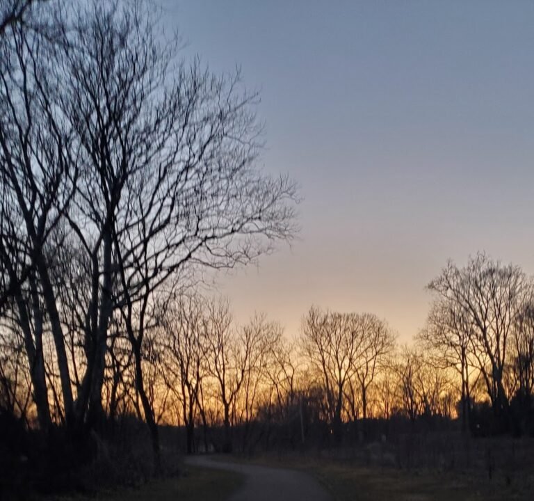 Soccer Field image 3