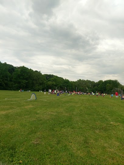 Soccer Field image 1