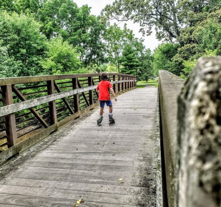 Soccer Field image 2