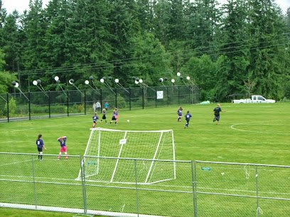 Soccer Field image 1
