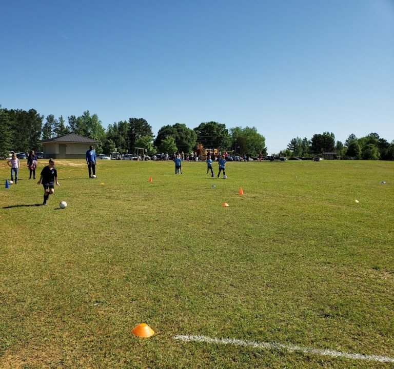 Soccer Field image 2