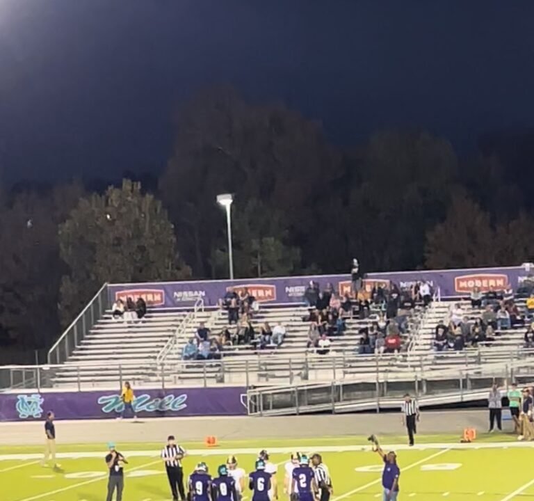 Soccer Field image 3