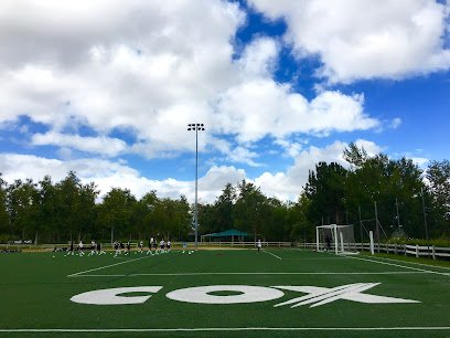 Soccer Field image 1