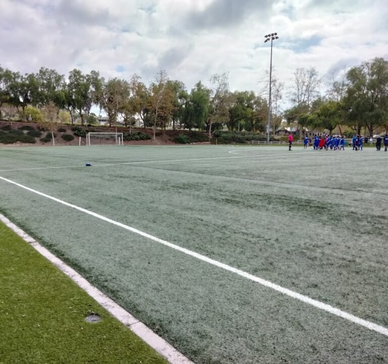 Soccer Field image 2