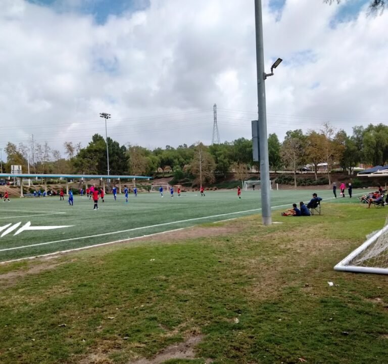 Soccer Field image 3
